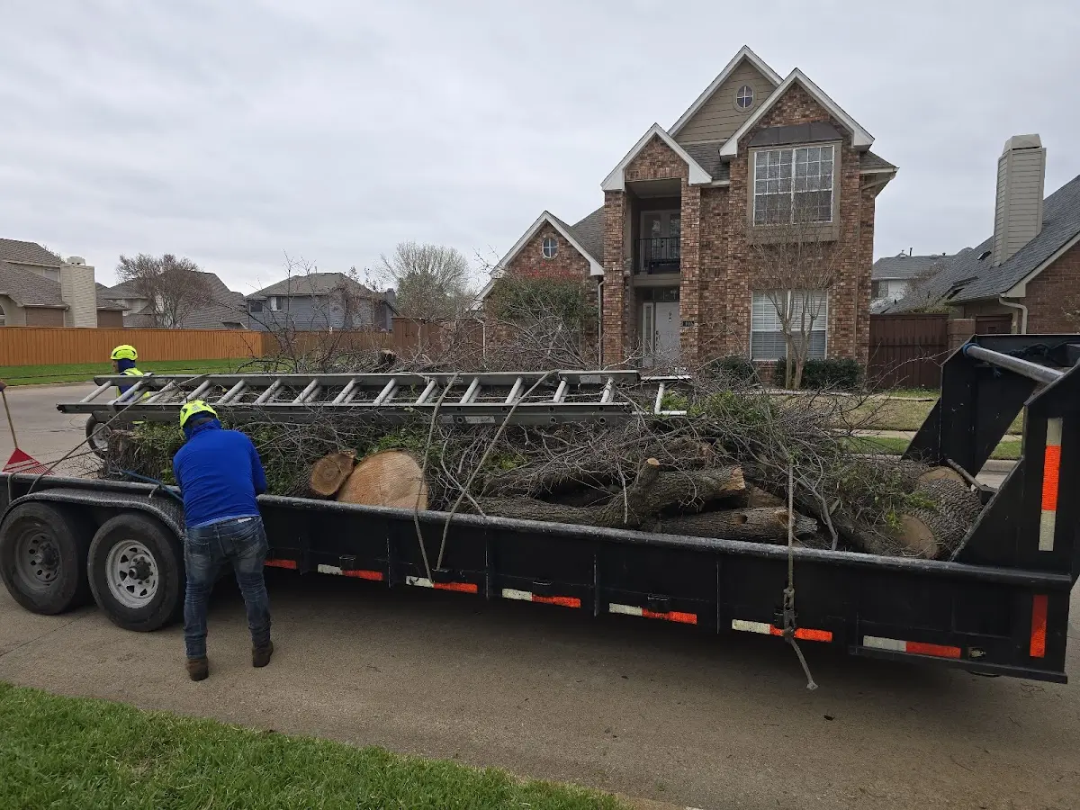 Expert Crown Reduction with proper safety equipment in Hanover Park